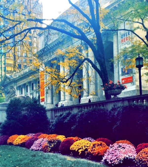 foliage_best library in the world